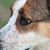Debra Jones's profile image