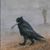 Laura Bolduc's profile image