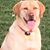David Suiter's profile image