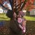 Laura Ludeking's profile image