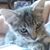 Kelly Hill Robinson's profile image