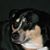 Debra Stewart's profile image