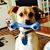 Marcia Phillips Funk's profile image