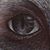 Catt Nailo's profile image