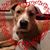 Debbie Wienke Pundt's profile image