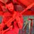Aaron Kiessling's profile image