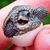 Susan Woita's profile image
