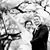 Cailidh Pedersen Booth's profile image