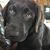 Kay E. Smith's profile image