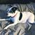 Ed Mealia's profile image