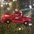 Paula Lape Forbis's profile image