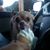 Carl Anthony Minneci's profile image