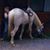 Gayle Atkins's profile image