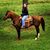 Dusti Stuart's profile image
