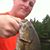 Steve Riley's profile image
