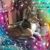 Alma Bast-Porter's profile image