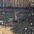 Tanjee Eubanks's profile image