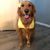 Tera Eiler Farris's profile image