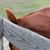 Reece Smith's profile image