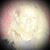 Jaime Simmons's profile image