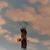 Cindy Johnson's profile image