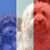 Janine Julian's profile image