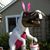 Holly Jennifer's profile image
