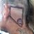 James Farrell's profile image