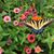 Tabitha Krause's profile image