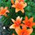 Jeanne Dutcher Smith's profile image