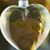 Phillip Young's profile image