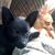 Tawnee-Luna Valley's profile image