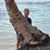 Micki Bair Brelsford's profile image