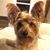 Kerri Johnson's profile image