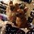 Cheryl Lynne Hunt's profile image