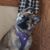 Sara Donaldson Davis's profile image