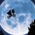 Darran Hayward's profile image