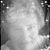 Michele Sampiere's profile image