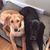Sherry Olson Wyman's profile image