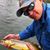 Pete Koson's profile image