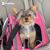 Jennifer Hobbs's profile image