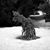 John Macedo's profile image