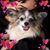 Ayla Pizzo's profile image