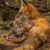 James Knight's profile image