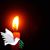 Soheil Houshmand's profile image
