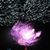 Memento Deo's profile image