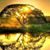 Rowena Wimberly's profile image