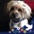 Sandy Hodge's profile image