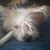Johnna Cobb's profile image