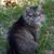 Todd Erickson's profile image